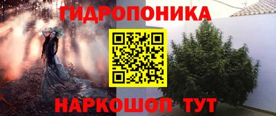 ГАЛЛЮЦИНОГЕННЫЕ ГРИБЫ Заводоуковск