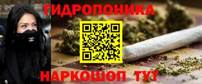 амф Заволжье