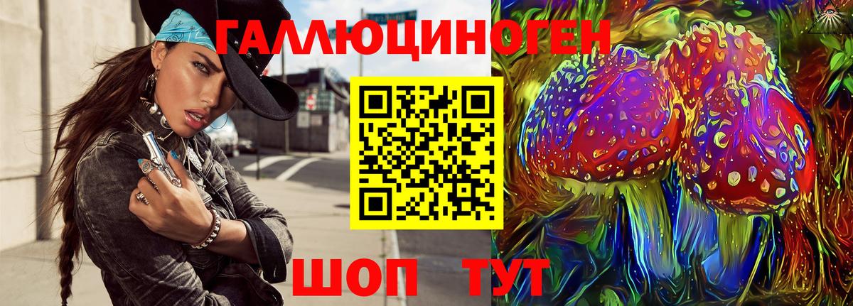 Миасс  Галлюциногенные грибы Psilocybine cubensis  Вход с VPN 