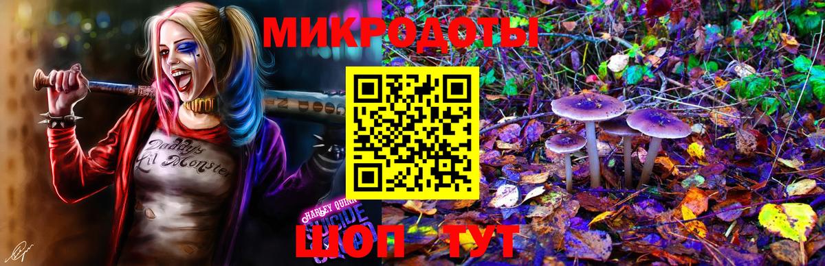 Псилоцибиновые грибы прущие грибы Миасс